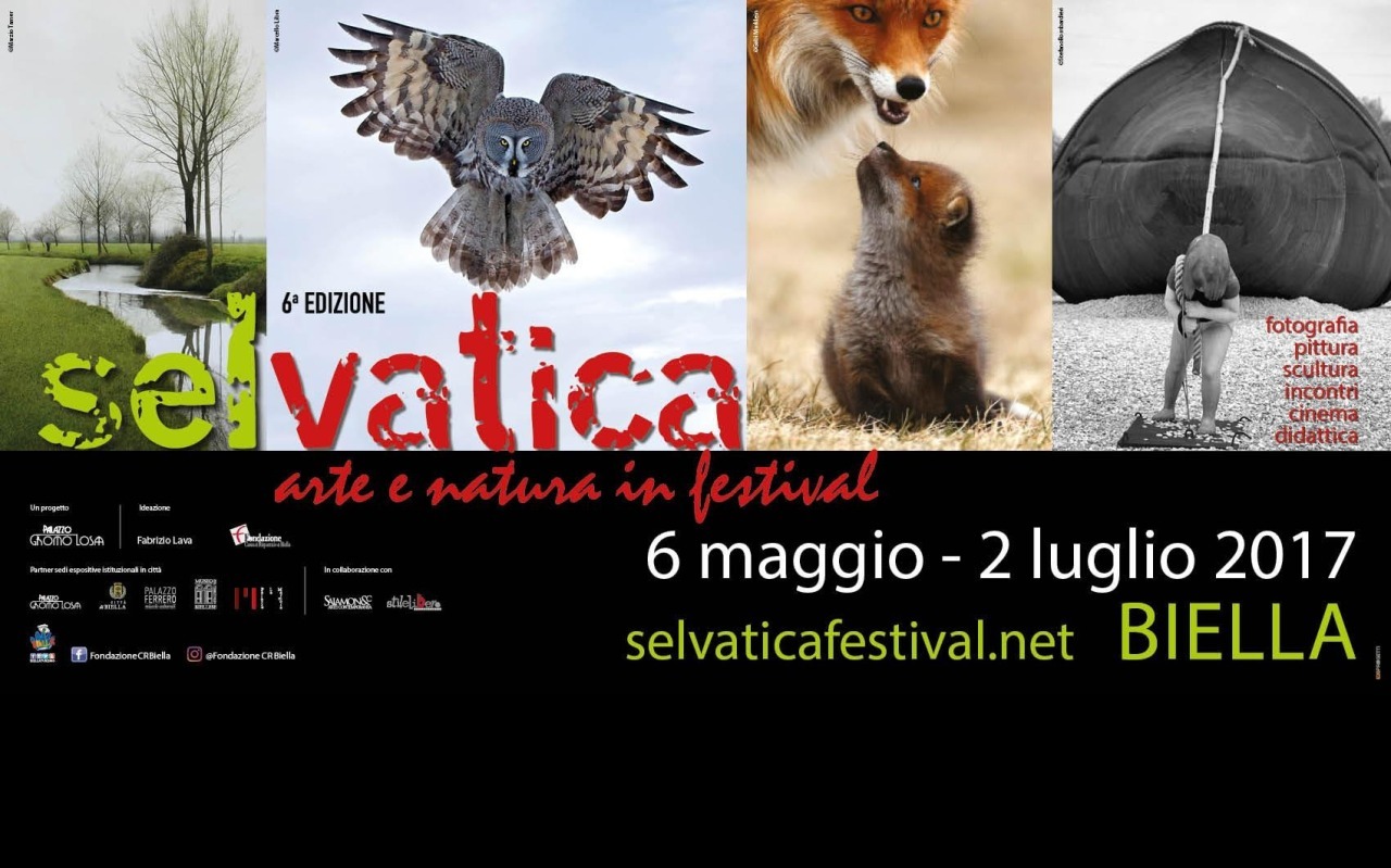 Immagine SELVATICA - ARTE E NATURA IN FESTIVAL